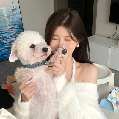 代号十三钗